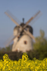 Germany, Soellingen, wind mill, flowering rape field in the foreground - PVCF000825