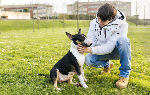 Young man with his bull terrier on a meadow stock photo