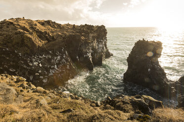 Iceland, Snaefells, Hellnar, cliff coast at morning light - FCF000858