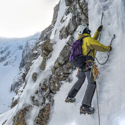 United Kingdom, Scotland, Ben Nevis, ice climbing - ALRF000364