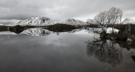 United Kingdom, Scotland, Glencoe, Rannoch Moor - ALRF000372