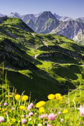 Deutschland, Bayern, Allgäu, Allgäuer Alpen, Blick zum Höfatsberg - WGF000846