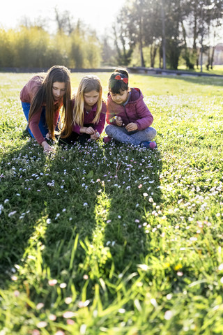 Three girls on a meadow picking daisies stock photo