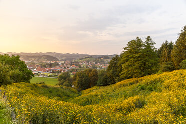 Österreich, Steiermark, Weinstraße, Blick auf Schlossberg und Leutschach im Sommer - AIF000308