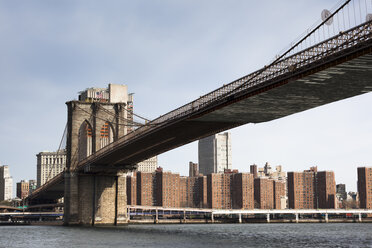 USA, New York City, Manhattan, Brooklyn Bridge in den Morgenstunden - FCF000903