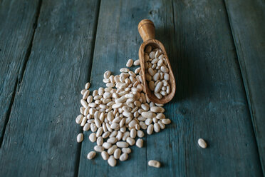 Dried white beans and scoop on wood - KIJF000299