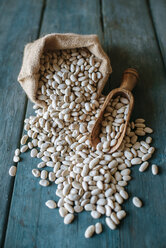 Sack of dried white beans and scoop on wood - KIJF000300
