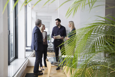 Kolleginnen und Kollegen im Büro bei einer Teambesprechung - RBF004281