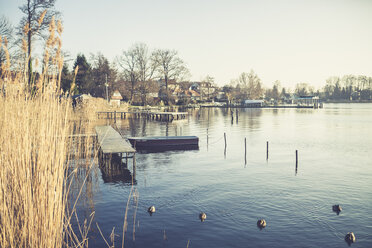 Germany, Brandenburg, Teupitz, Lake Teupitz, Reed and pier, rowing boat - ASCF000566