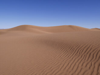 Morocco, Sahara, desert dune - JMF000372