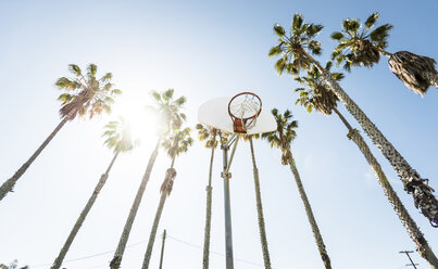 Basketballplatz im Freien, umgeben von Palmen - LEF000109