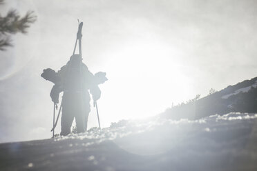 Backlighting of a man with skis in a backpack - ABZF000354