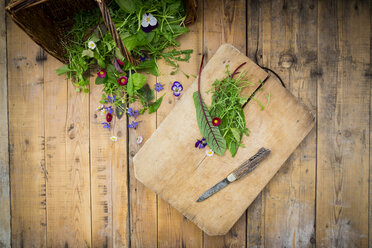 Different wild herbs and edible flowers - LVF004771