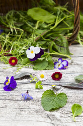 Verschiedene Wildkräuter und essbare Blumen - LVF004774