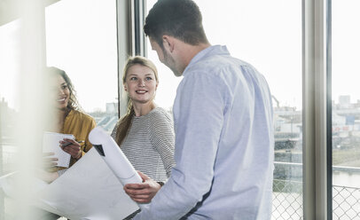 Drei Kollegen besprechen den Plan im Büro - UUF006972