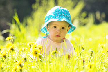 Porträt eines kleinen Mädchens mit Hut auf einer Blumenwiese - WWF003948