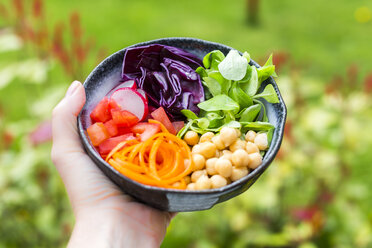 Regenbogensalat in einer Schüssel mit Kichererbsen, Tomaten, Karotten, Rotkohl, roten Radieschen und Kopfsalat - SARF002697