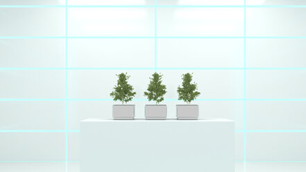 Kultivierte Ginkobäume in einem Gewächshaus, 3D-Rendering - UWF000858