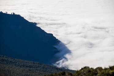 Spanien, Teneriffa, Nebel in den Bergen in der Region El Teide - SIPF000378