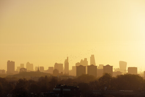 UK, London, Vogelschwarm vor der Skyline im Morgenlicht - BRF001331