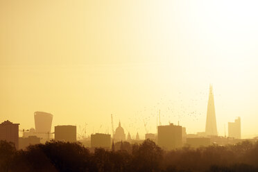 Großbritannien, London, Vogelschwarm vor der Skyline mit The Shard im Morgenlicht - BRF001333