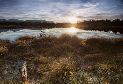 Deutschland, Bayern, Schoenramer Moor bei Sonnenuntergang - STCF000208