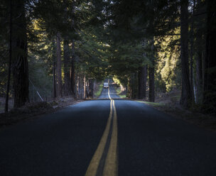 USA, California, Orr Springs Road, car - STCF000218