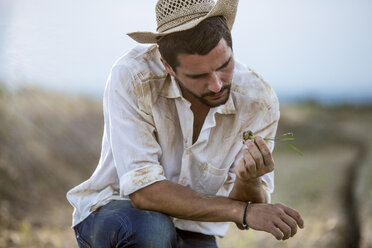 Young man examining crop plant - ZOCF000089