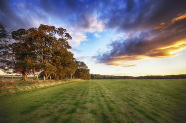 Schottland, East Lothian, Graswiese bei Sonnenuntergang - SMAF000460