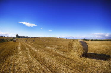 Schottland, East Lothian, Heuballen auf einem Feld - SMAF000462