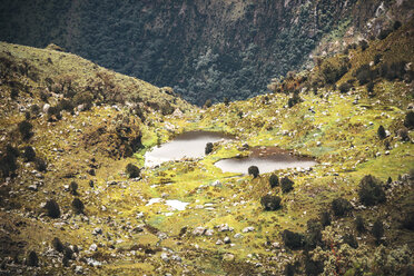 Peru, Huaraz, Vegetation in der Hochlandregion - EHF000335