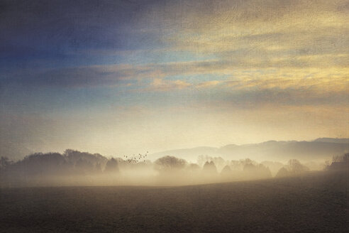 Gernany, Nordrhein-Westfalen, Morgennebel über Feldern - DWIF000736