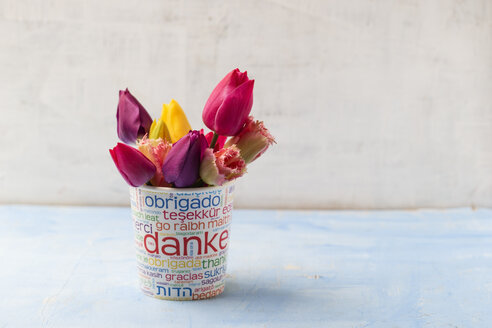 Verschiedene Tulpen in einer bedruckten Tasse - MYF001458