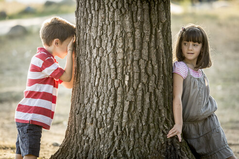 Kleiner Junge und Mädchen spielen Verstecken in der Natur - ZOCF000118