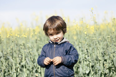 Porträt eines kleinen Jungen, der vor einem Rapsfeld steht - XCF000089