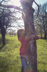 Portrait of smiling little girl embracing tree - LVF004825