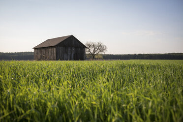 Deutschland, Blick auf Scheune mit Feld im Vordergrund - ASCF000578