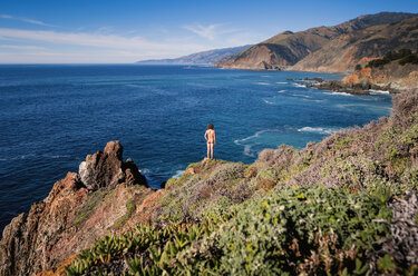 USA, California, Big Sur, Coast, Rear view of nude man standing on rock - WV000754