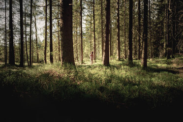 Rückansicht eines nackten Mannes, der im Wald steht - WV000763