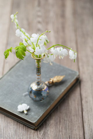 Weiße Leierblumen in einer Vase, lizenzfreies Stockfoto