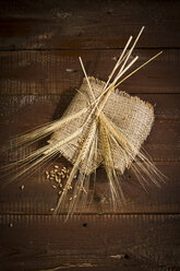 Barley on wood - MAEF011457