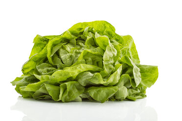 Butterhead lettuce - MAEF011486