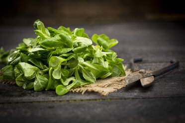 Frischer Feldsalat auf Jute und Schere - MAEF011497