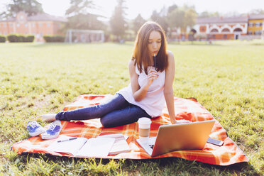 Student im Park bei der Arbeit mit Laptop - GIOF000944