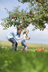 Kleines Mädchen und Vater pflücken Äpfel vom Baum - MAEF011609