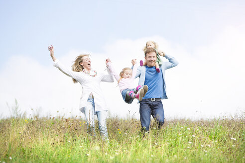 Sorglose Familie auf der Wiese - MAEF011619