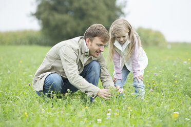 Vater und Tochter pflücken Wildblumen auf einer Wiese - MAEF011631