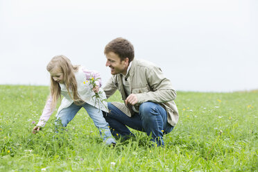 Vater und Tochter pflücken Wildblumen auf einer Wiese - MAEF011632