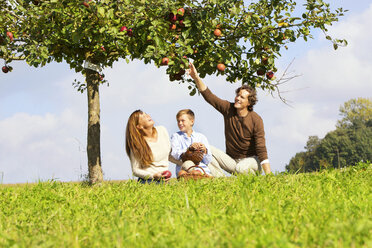 Familie erntet Äpfel auf einer ländlichen Wiese - MAEF011639