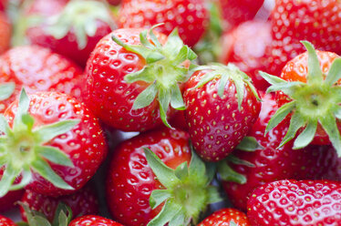 Erdbeeren, Nahaufnahme - CZF000248
